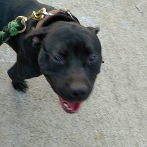 Meet your Posher, Trey